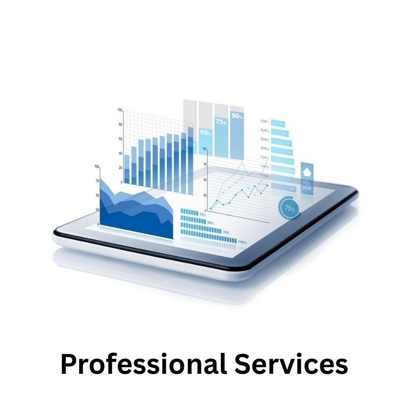 professional services