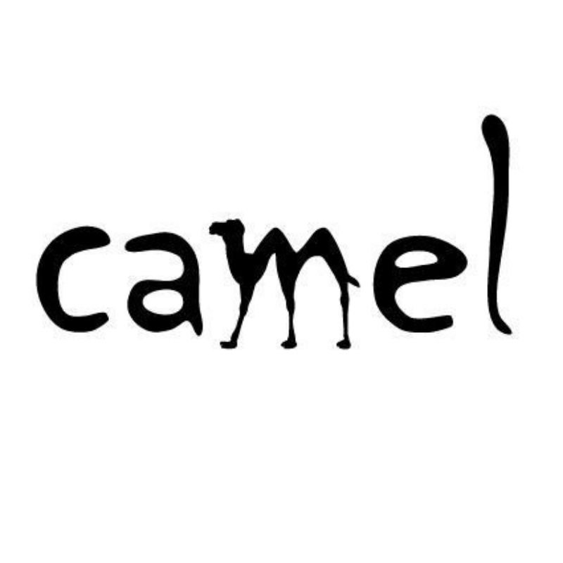 custom logo design (5)